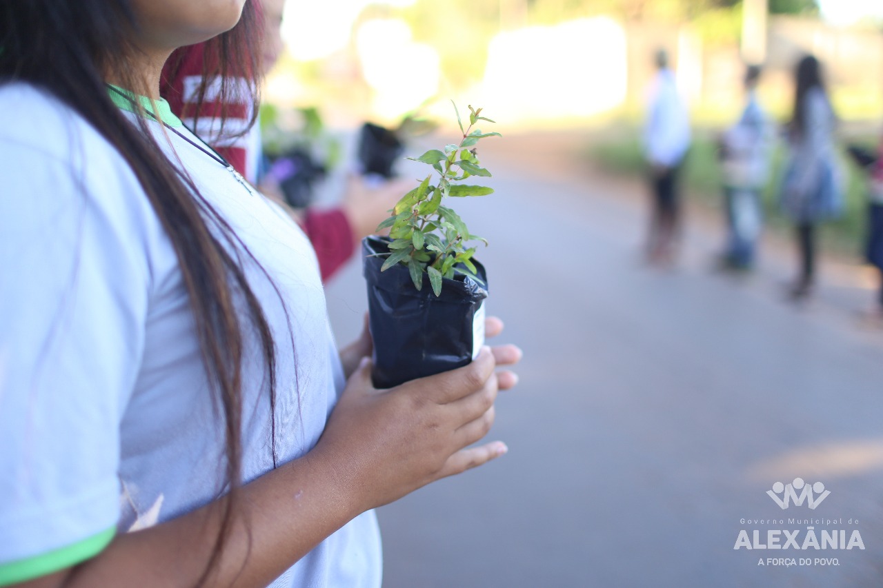 Culminância do Projeto Meio Ambiente