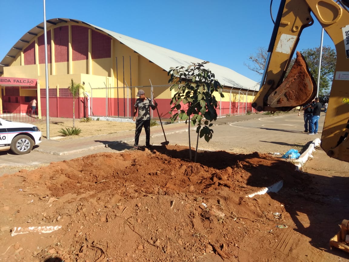 Através de parcerias, Governo realiza plantio de mudas pela cidade